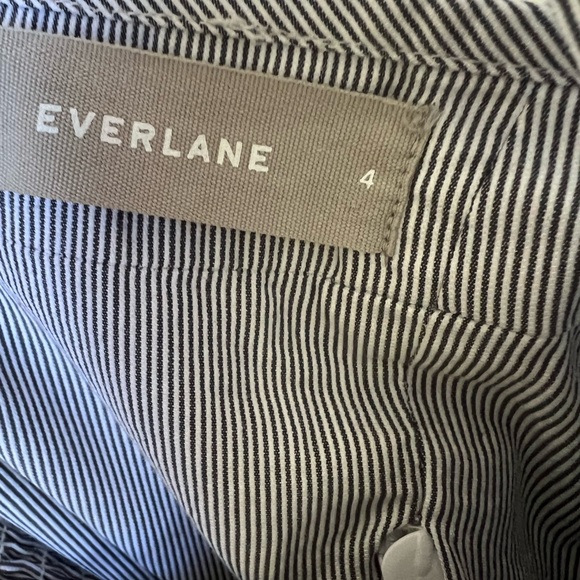 Everlane Picnic Dress 4 in pinstripe - Picture 7 of 8